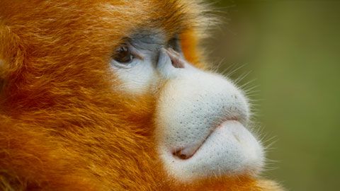 Thumbnail image for {{ post.title }}