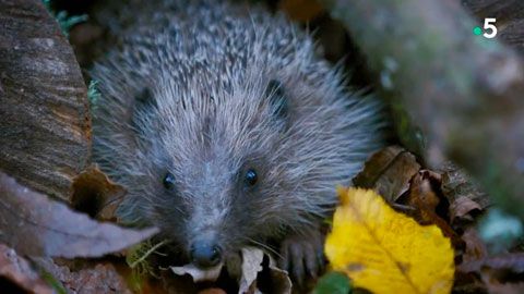 Thumbnail image for {{ post.title }}