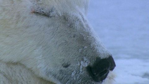 Thumbnail image for {{ post.title }}