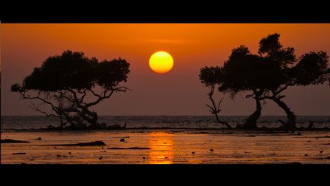 Thumbnail image for {{ post.title }}