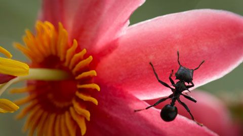 Thumbnail image for {{ post.title }}