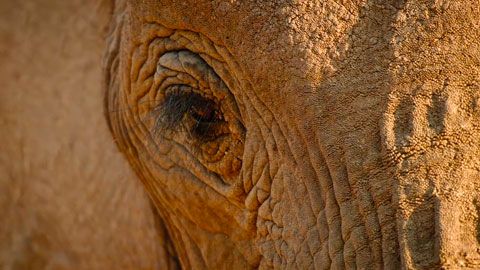 Thumbnail image for {{ post.title }}