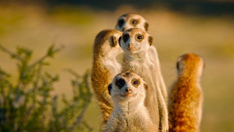 Thumbnail image for {{ post.title }}