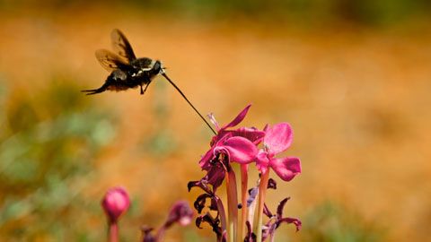 Thumbnail image for {{ post.title }}