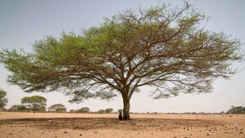 Thumbnail image for {{ post.title }}