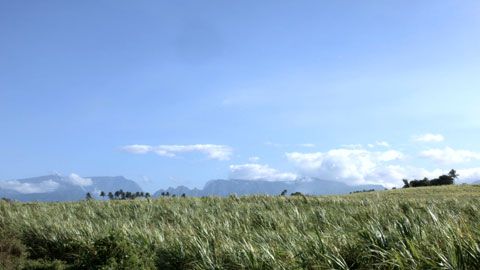 Thumbnail image for {{ post.title }}