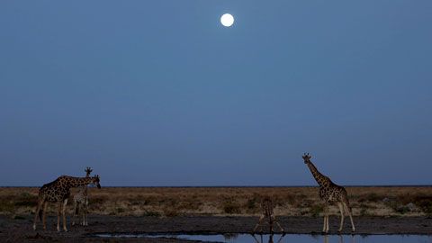 Thumbnail image for {{ post.title }}