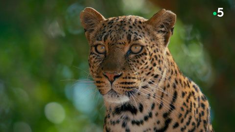 Thumbnail image for {{ post.title }}