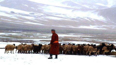 Thumbnail image for {{ post.title }}