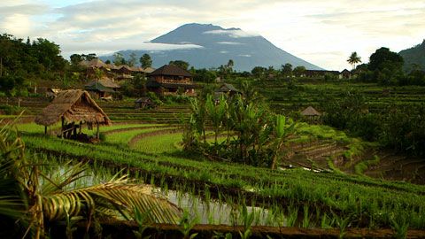 Thumbnail image for {{ post.title }}