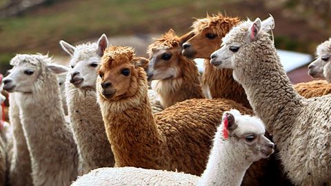 Thumbnail image for {{ post.title }}