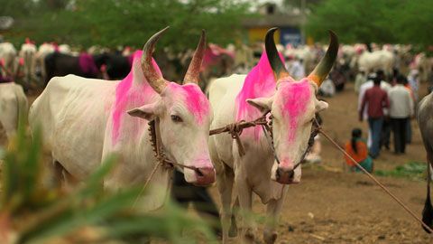 Thumbnail image for {{ post.title }}