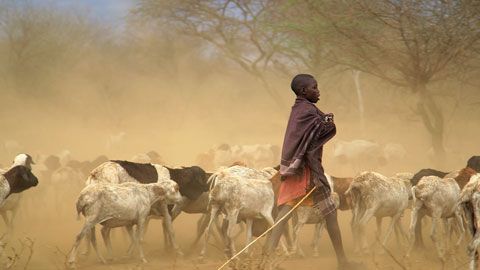 Thumbnail image for {{ post.title }}