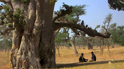 Thumbnail image for {{ post.title }}