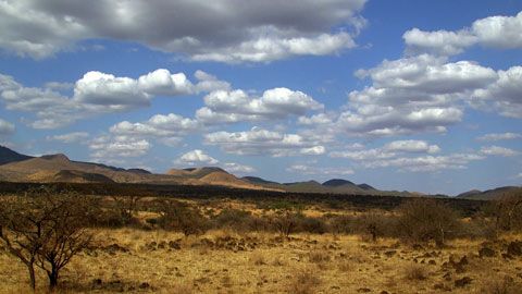 Thumbnail image for {{ post.title }}