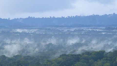 Thumbnail image for {{ post.title }}