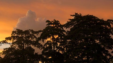 Thumbnail image for {{ post.title }}