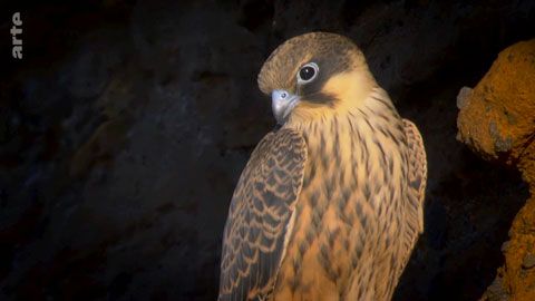 Thumbnail image for {{ post.title }}