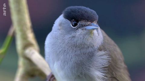 Thumbnail image for {{ post.title }}