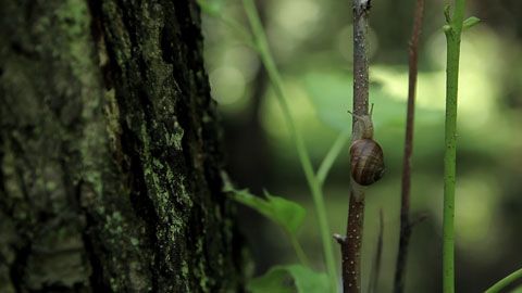 Thumbnail image for {{ post.title }}