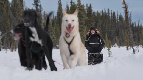 Thumbnail image for {{ post.title }}