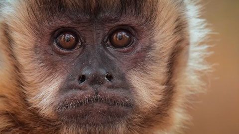 Thumbnail image for {{ post.title }}