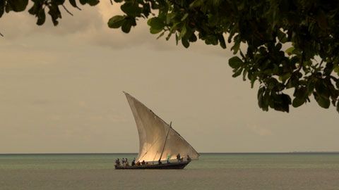 Thumbnail image for {{ post.title }}