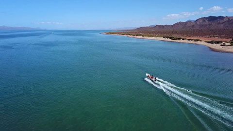 Thumbnail image for {{ post.title }}