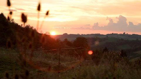 Thumbnail image for {{ post.title }}