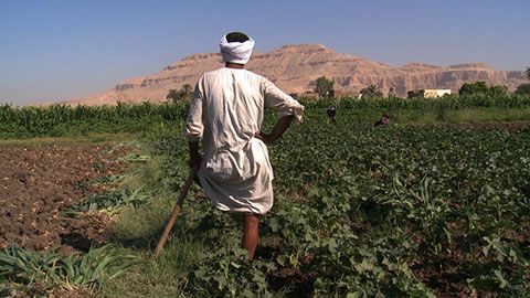 Thumbnail image for {{ post.title }}