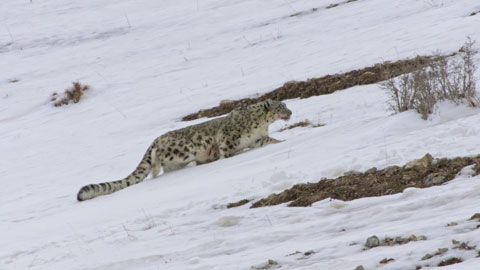 Thumbnail image for {{ post.title }}