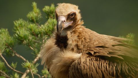 Thumbnail image for {{ post.title }}