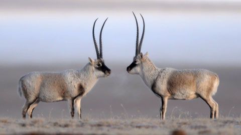 Thumbnail image for {{ post.title }}