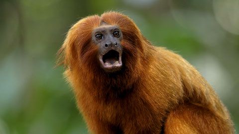 Thumbnail image for {{ post.title }}