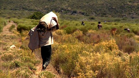 Thumbnail image for {{ post.title }}