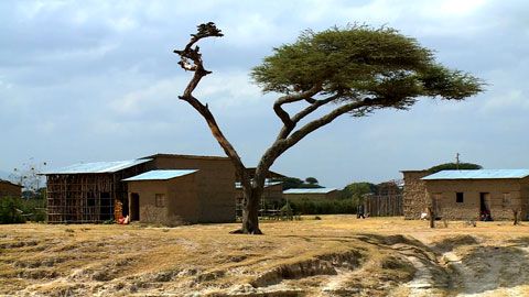 Thumbnail image for {{ post.title }}