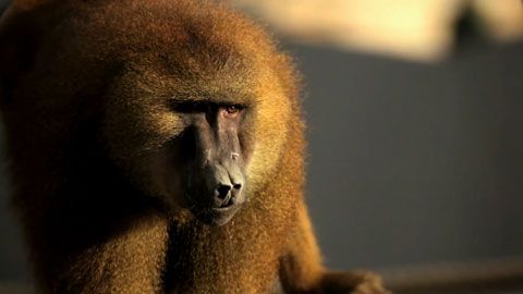 Thumbnail image for {{ post.title }}