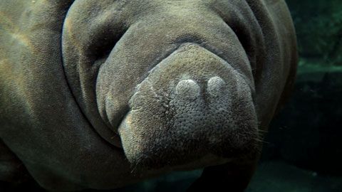 Thumbnail image for {{ post.title }}